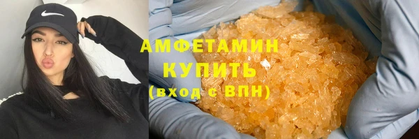 амф Алексин