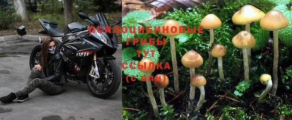 амф Алексин