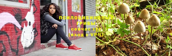 дживик Михайловск