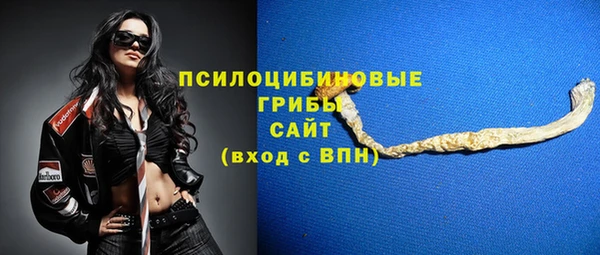 СК Алексеевка