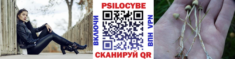 закладки  Старый Оскол  мега ССЫЛКА  Псилоцибиновые грибы GOLDEN TEACHER 